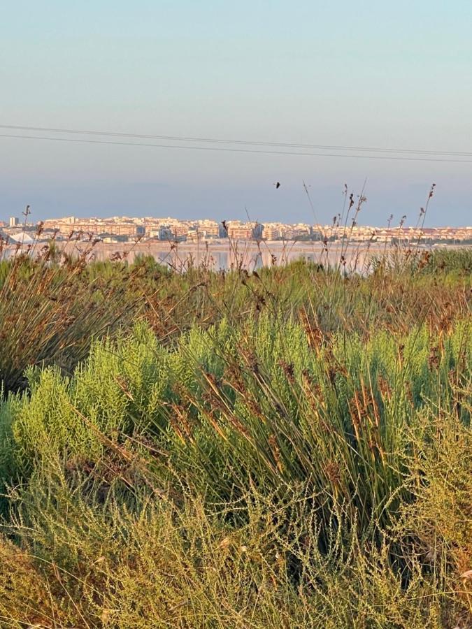 Apartamento Exclusivo Y Central تورّيفيِخا المظهر الخارجي الصورة